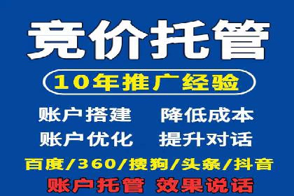 SEM托管服务案例：实现品牌价值最大化